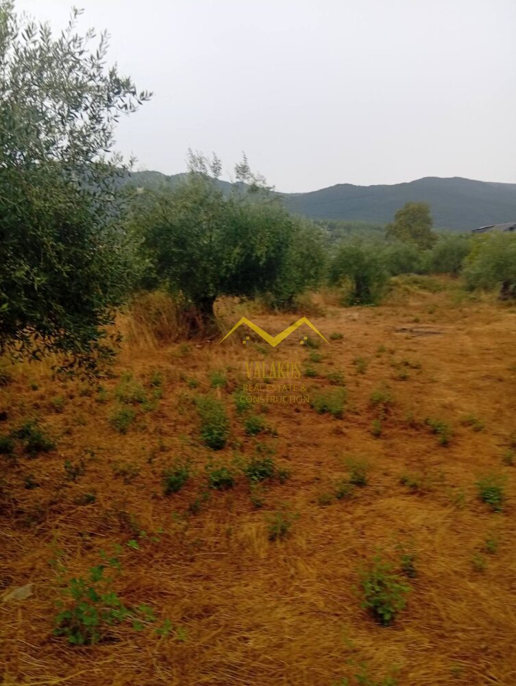 (προς πώληση) Αξιοποιήσιμη Γη Αγροτεμάχιο || Ν. Θεσπρωτίας / Ηγουμενίτσα - 3000.τ.μ., 27.000€
