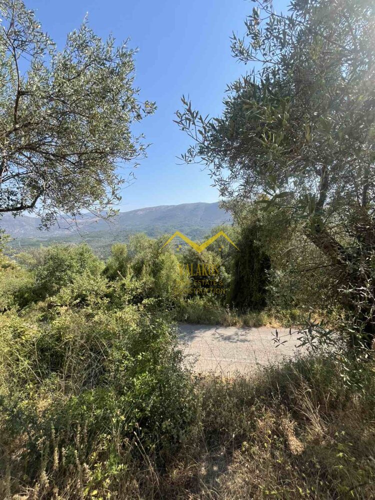 (for sale) Land Land || Thesprotia Prefecture / Sivota - 2000.0sq.m, 10.000€