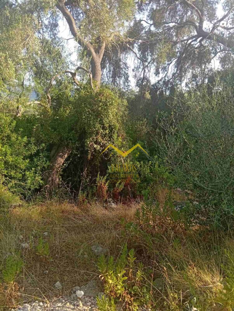 (for sale) Land Plot || Thesprotia Prefecture / Igoumenitsa - 115.7sq.m, 15.000€