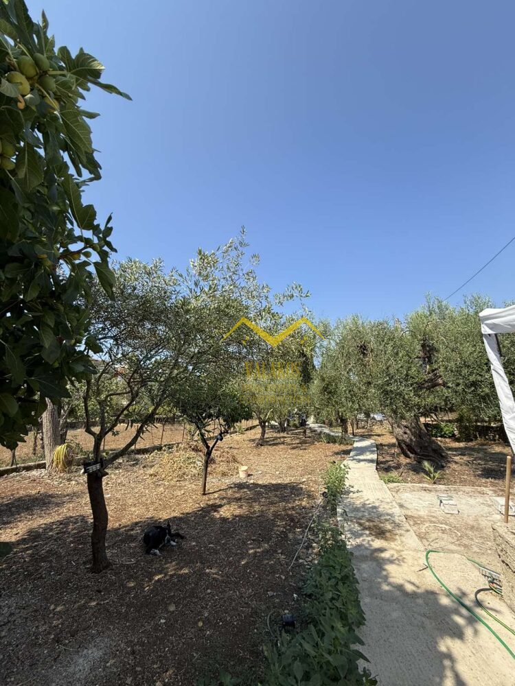 (for sale) Residential Detached House || Thesprotia Prefecture / Perdika - 53.0sq.m, 2 B/R,115.000€