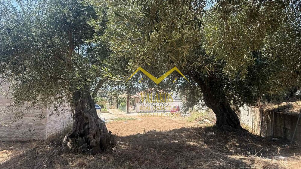 (for sale) Land Plot || Thesprotia Prefecture / Sivota - 260.0sq.m, 75.000€