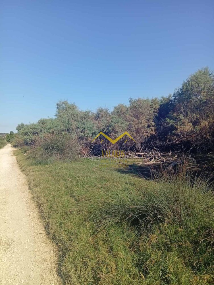 (προς πώληση) Αξιοποιήσιμη Γη Αγροτεμάχιο || Ν. Θεσπρωτίας / Ηγουμενίτσα - 5500.0τ.μ., 23.000€