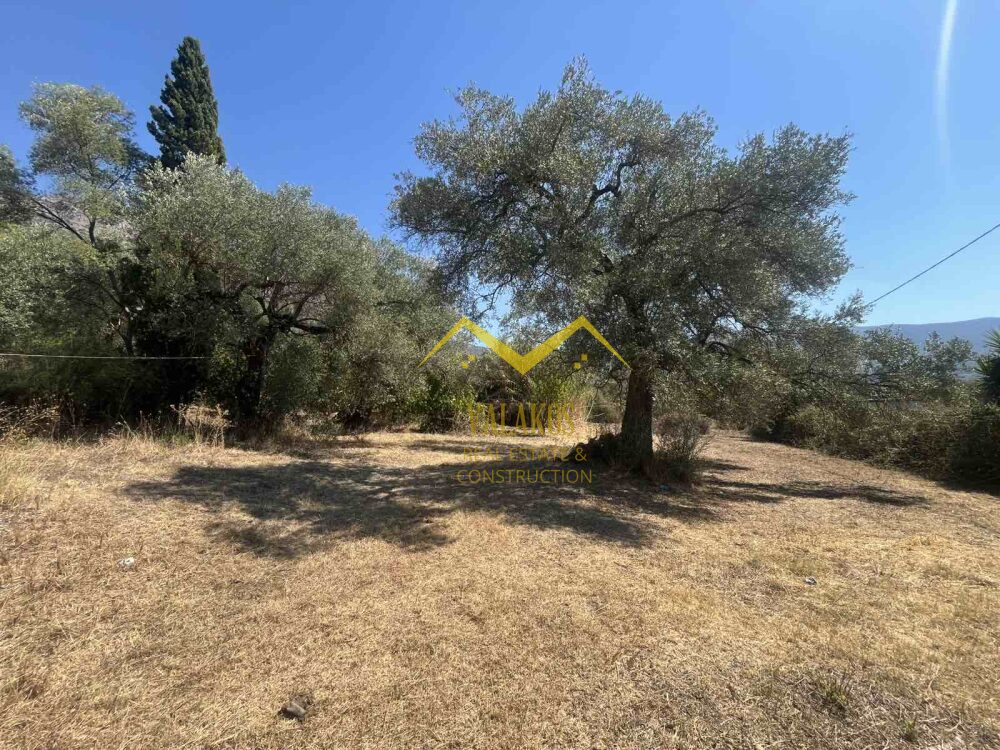 (for sale) Land Plot || Thesprotia Prefecture / Sivota - 500.0sq.m, 29.000€