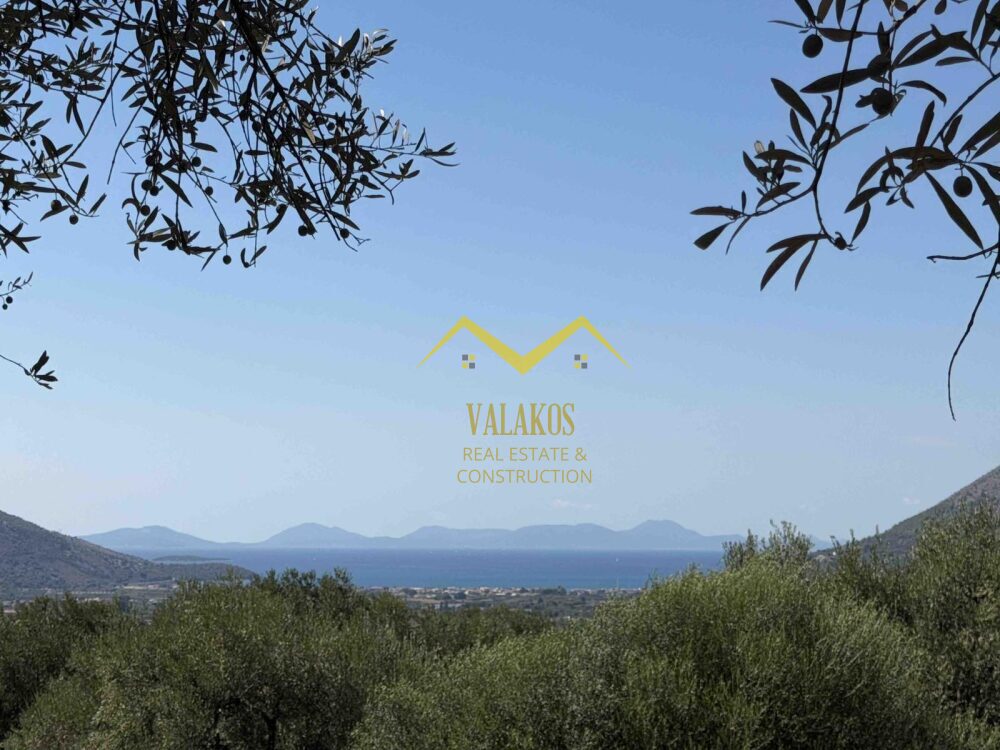 (for sale) Land Plot || Thesprotia Prefecture / Sivota - 320sq.m, 20000€