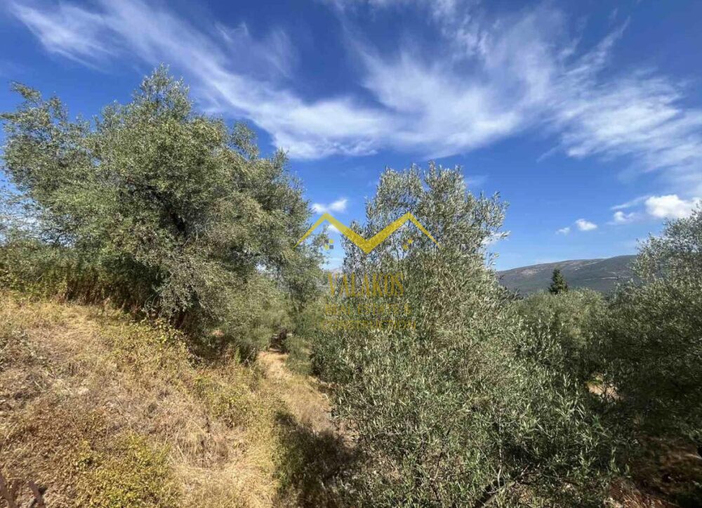 (for sale) Land Land || Thesprotia Prefecture / Igoumenitsa - 2770.0sq.m, 55.000€