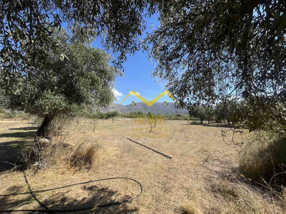 (for sale) Land Land || Thesprotia Prefecture / Igoumenitsa - 3000.0sq.m, 30.000€